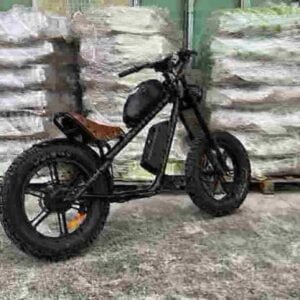 经济型电动自行车工厂中国