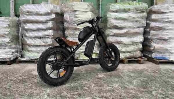 经济型电动自行车工厂中国