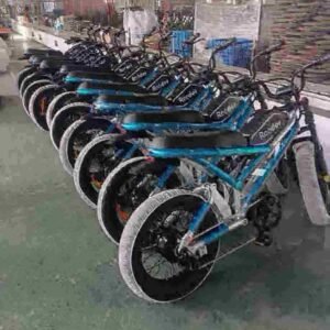 女士电动自行车工厂中国